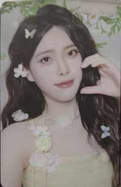 何蔡娴 26台历小卡ver.C