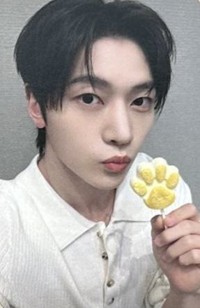 sbs/mbc年末逆应援3