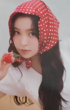 26台历固配 椰ver.A