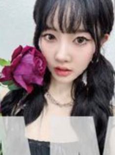 swith japan预售 恩