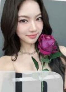 swith japan预售 莎