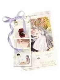 温以凡&桑延UR卡收藏卡套组-朝暮与你系列