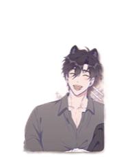 兰斯1PET透卡-情书系列