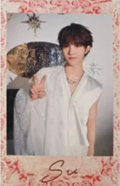 2026挂历单人款拍立得 苏ver.C