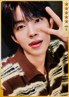 q音星光卡4 五星ver.