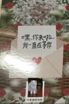 2026挂历单人款小卡 航ver.C-资料图