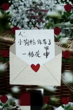 2026挂历单人款小卡 禹ver.B-资料图