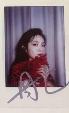 The Laterals杂志拍立得 ver.E