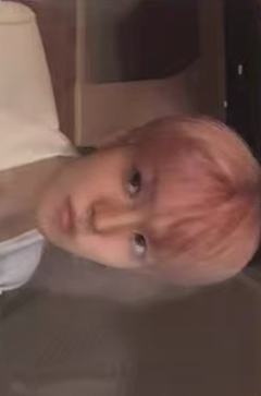 ms上海合影会 事