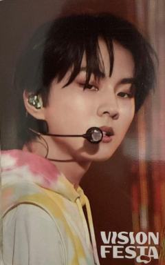 vision festa入场卡6