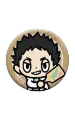 岩泉一吧唧-JF26系列