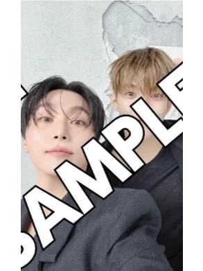 环球预售c盘 硕甜