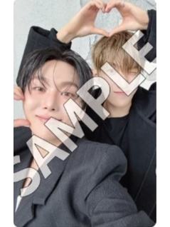 日咖预售c盘 硕甜