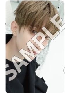 日咖预售c盘 硕