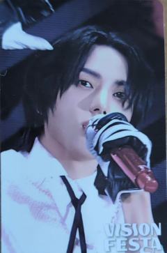 vision festa入场卡1