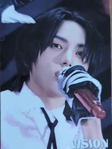 vision festa入场卡1