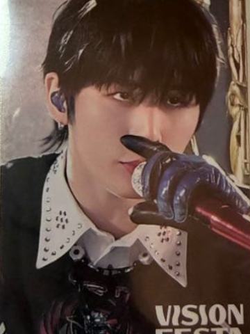 vision festa入场卡4