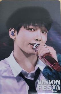 vision festa入场卡3