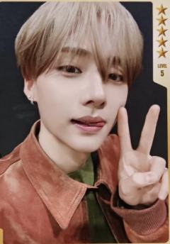 q音星光卡1 五星ver.