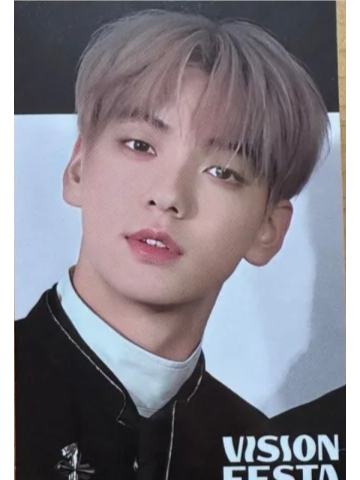 vision festa入场卡2