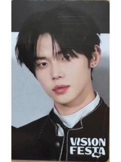 vision festa入场卡1