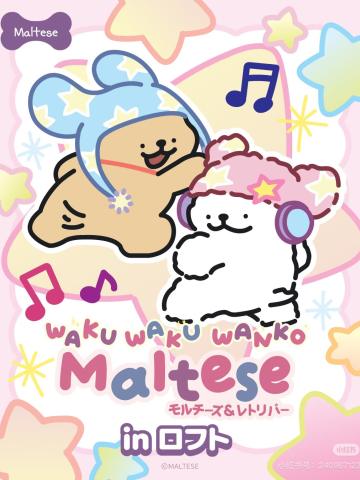 Maltese×LOFT日本快闪系列