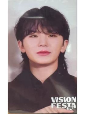 vision festa入场卡 勋