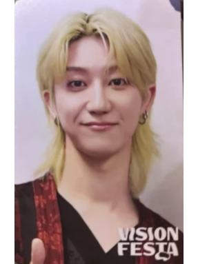 vision festa入场卡 八