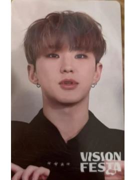 vision festa入场卡 荣