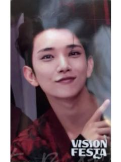 vision festa入场卡 刷