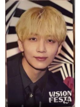 vision festa入场卡 净