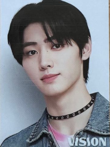 vision festa入场卡4