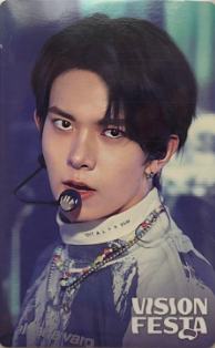 vision festa入场卡1