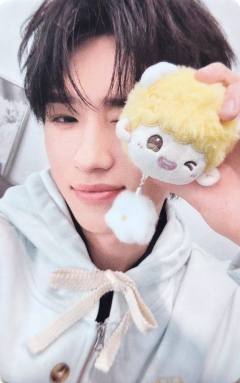 团团卡包单人小卡3 ver.B