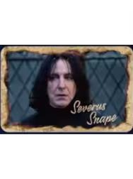 西弗勒斯·斯内普徽章-魔法之旅系列第三弹