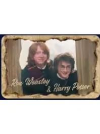 罗恩&哈利(大隐藏)徽章-魔法之旅系列第三弹