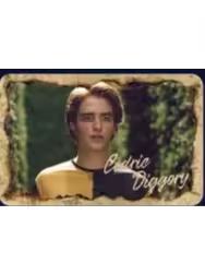 塞德里克·迪戈里徽章-魔法之旅系列第三弹