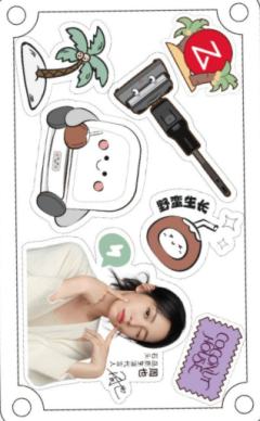 石头代言冰箱贴 ver.B