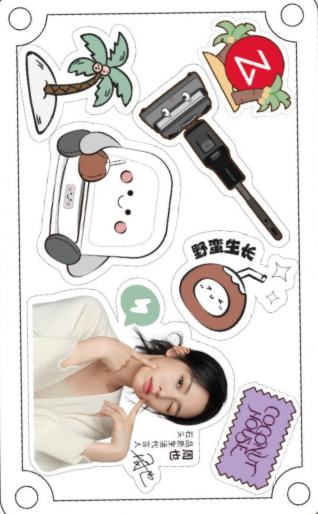 石头代言冰箱贴 ver.B