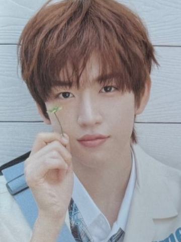 26台历明信片 财