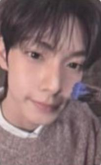 场周随机卡 ver.4