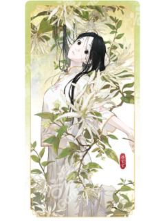 冯宝宝惊喜款福炁相片-草木之境系列