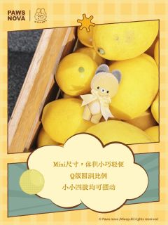MINI TEDDY BEAR（黄色）-资料图