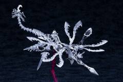 阿尔卡纳蒂亚 异种阿尔玛 AS010 潮汐奥尔科托斯-资料图