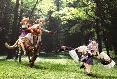 阿尔卡纳蒂亚 AR014 GII-资料图