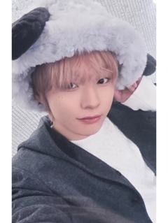 ms签售11.0 6 线下小狗ver.