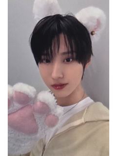 ms签售11.0 4 线上小猫ver.