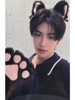 ms签售11.0 5 线上小猫ver.