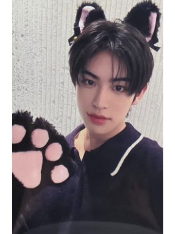 ms签售11.0 5 线上小猫ver.