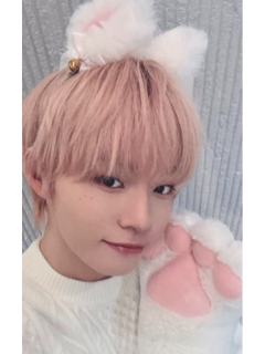 ms签售11.0 6 线上小猫ver.